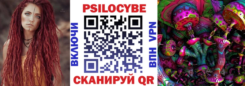Псилоцибиновые грибы Psilocybe  omg онион  Олёкминск 